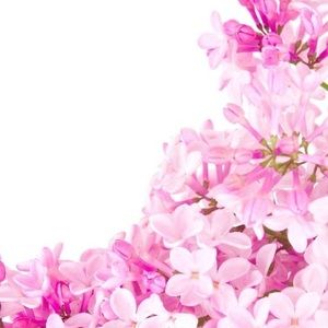 Meet your Posher, May